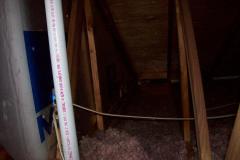 Insulation-Damage-In-Attic