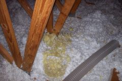 Insulation-Damage