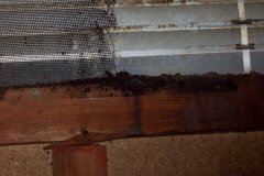 Insulation-Damage5