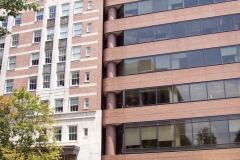 Bird-Removal-Office-Building-DC