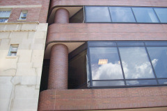 Bird-Removal-Office-Building-MD