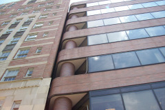 Bird-Removal-Office-Building-Maryland