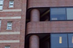Birds-on-Office-Building-Maryland