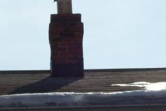 Birds-Nesting-in-Chimney2