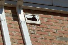 Birds-Nesting-in-Vents