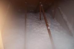 Repairs from Animal Damage